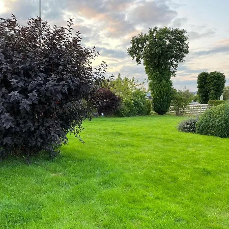 In Near Lego House & Legoland