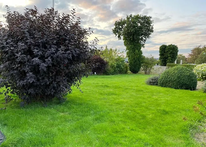 In Near Lego House & Legoland